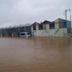 千葉県館山市、「早かわ洋蘭」2019年9月の台風被害について