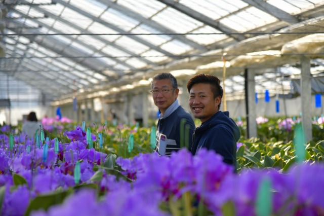 千葉県館山市の「早かわ洋蘭」栽培の模様